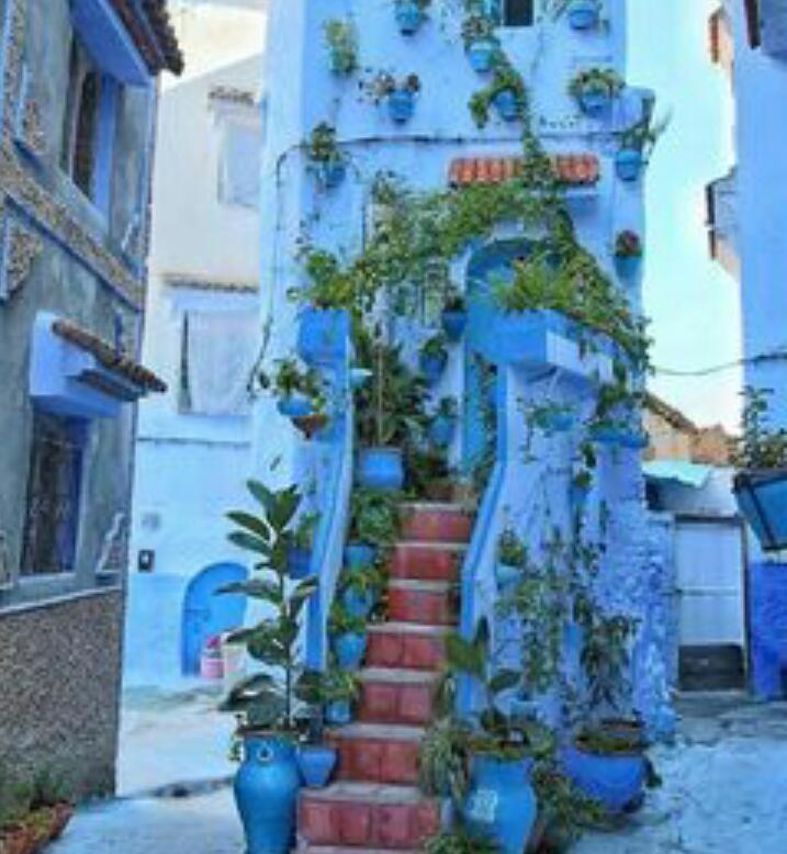Casa Dreams Chaouen Lägenhet Chefchaouen Exteriör bild