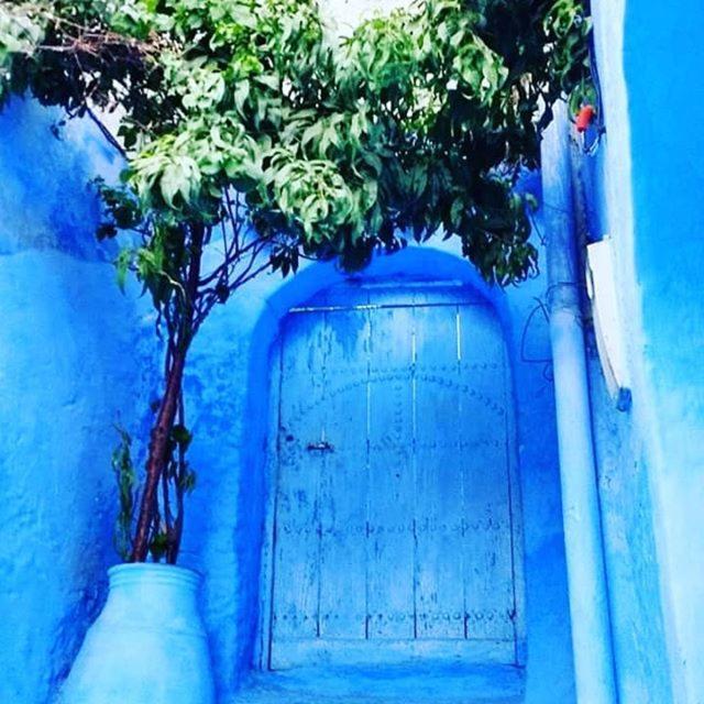 Casa Dreams Chaouen Lägenhet Chefchaouen Exteriör bild