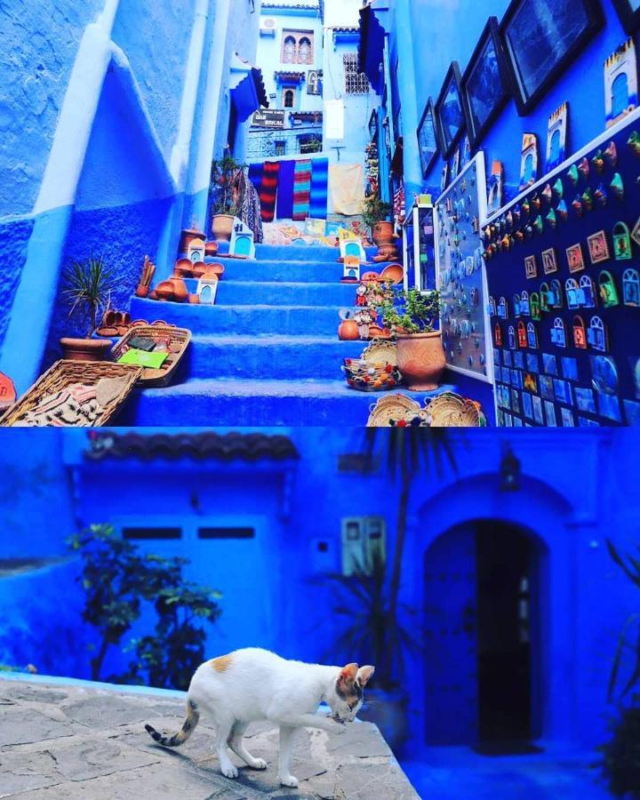 Casa Dreams Chaouen Lägenhet Chefchaouen Exteriör bild